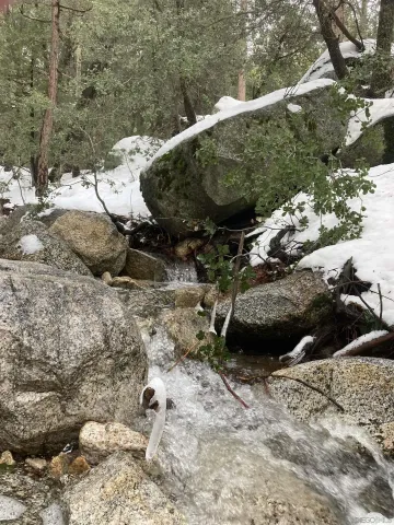 $599,000 | 24655 Upper Rim Rock Road, Idyllwild, CA 92549