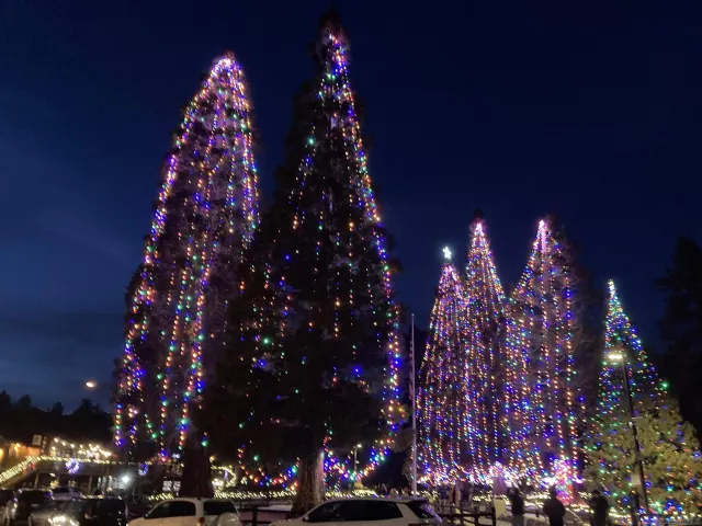 $599,000 | 24655 Upper Rim Rock Road, Idyllwild, CA 92549