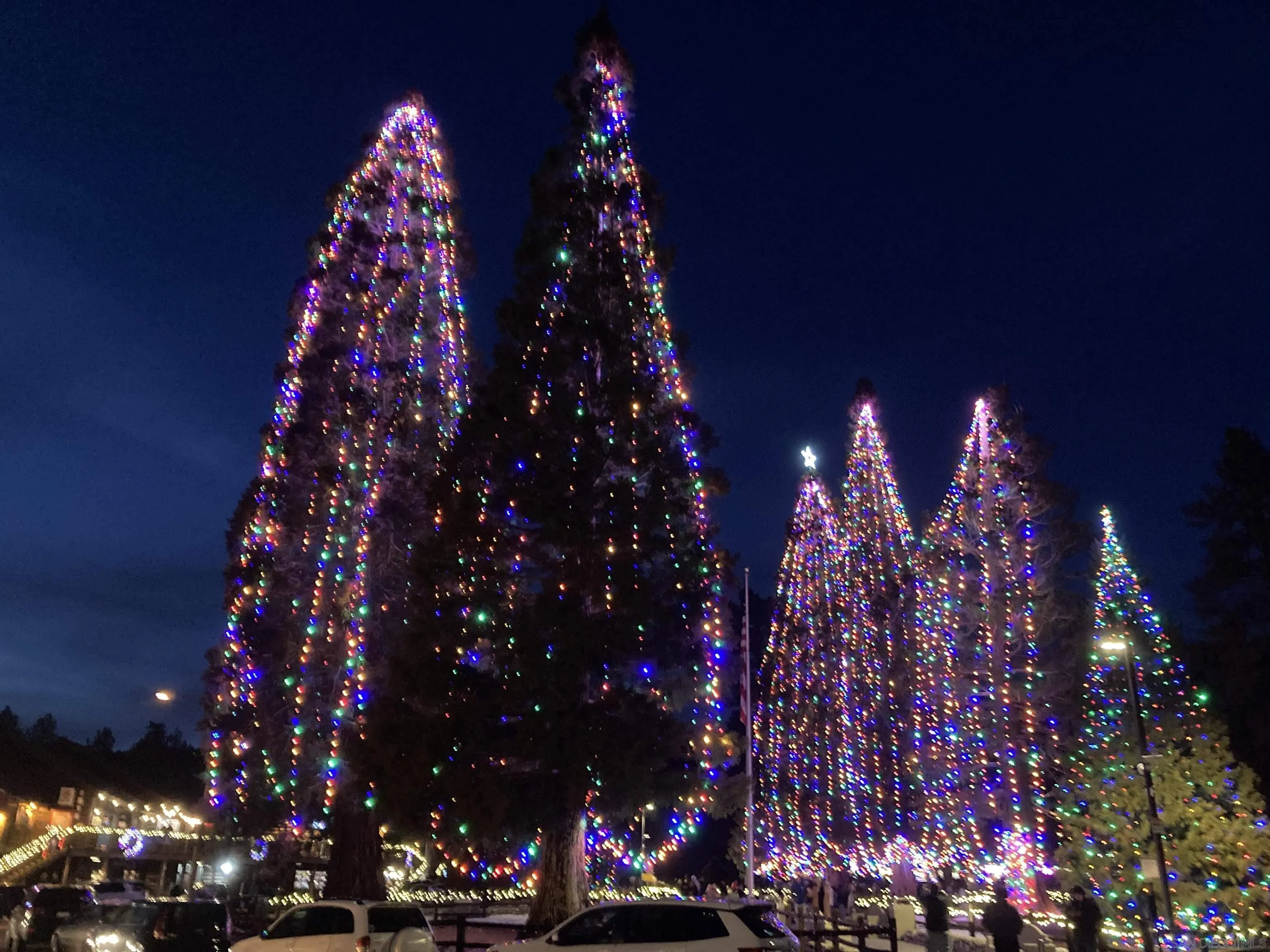 24655 Upper Rim Rock Road Idyllwild, CA 92549 - Photo 46 of 48