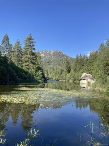 $599,000 | 24655 Upper Rim Rock Road, Idyllwild, CA 92549