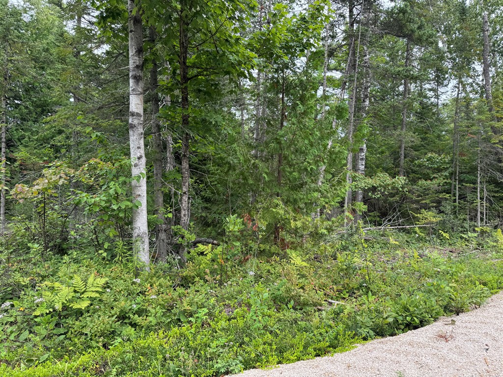 Europe Bay Road Ellison Bay, WI 54210 - Photo 5 of 13 Gallery Image 5