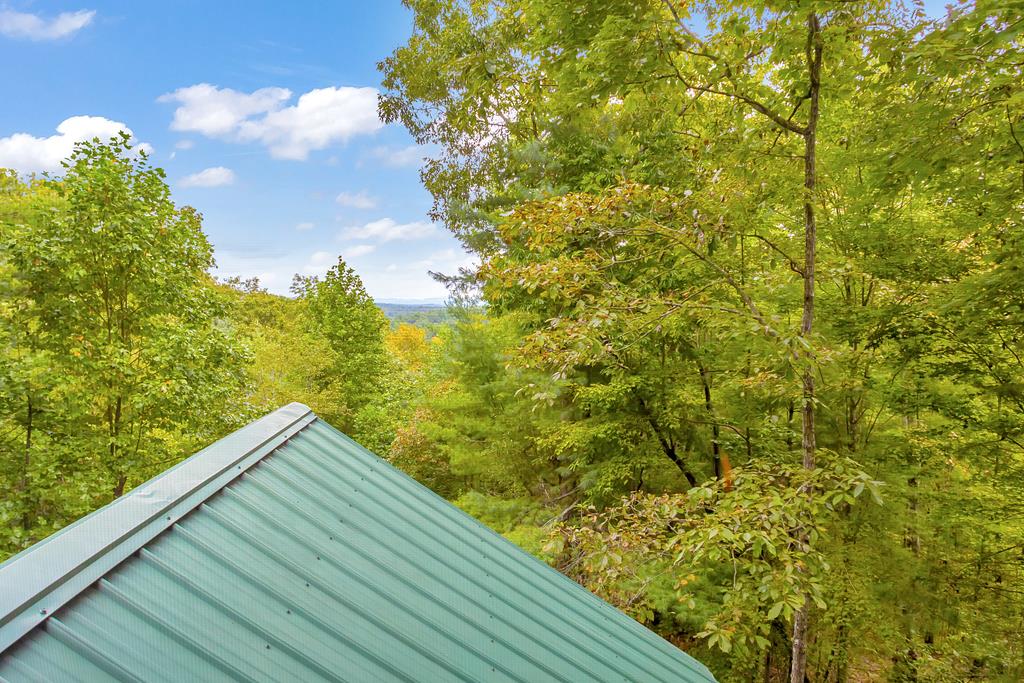 361 Moss Lane Blue Ridge, GA 30513 - Photo 46 of 72 Gallery Image 46