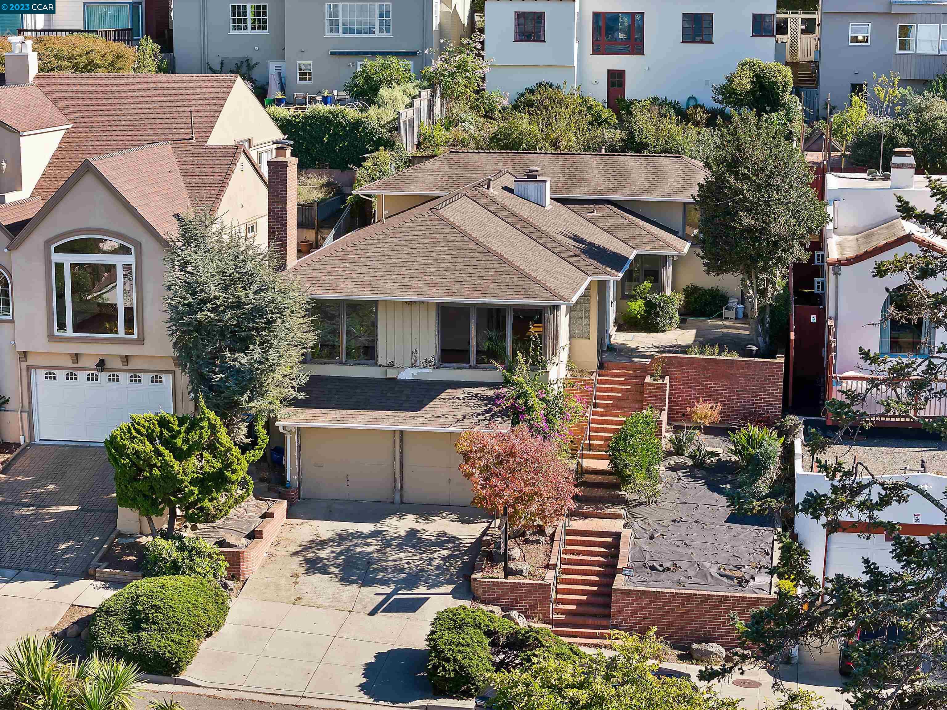 a aerial view of a house with a yard plants and large tree