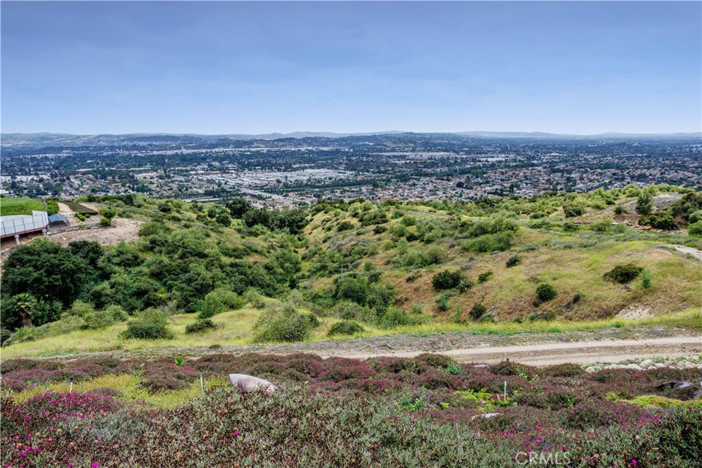 350 Roughrider Road La Verne, CA 91750 - Photo 16 of 55 Walking path for daily exercise!