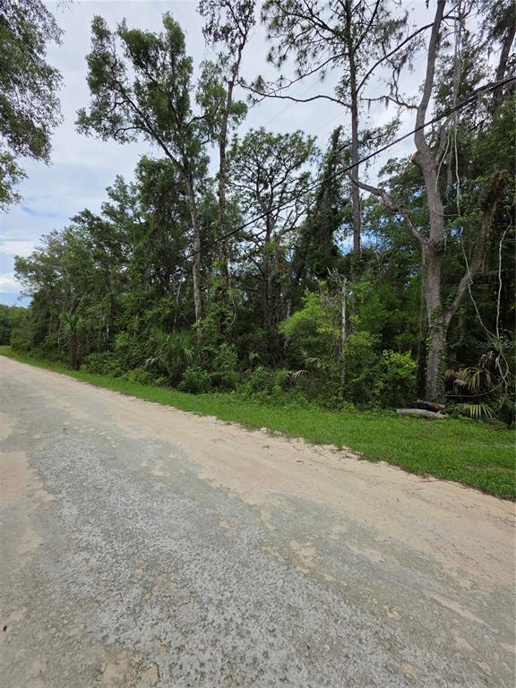 0 Pointview Road Brooksville, FL 34601 - Photo 2 of 6 a view of a yard with a tree