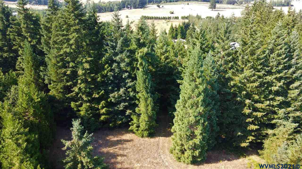 15470 May Road Dallas, OR 97338 - Photo 31 of 32