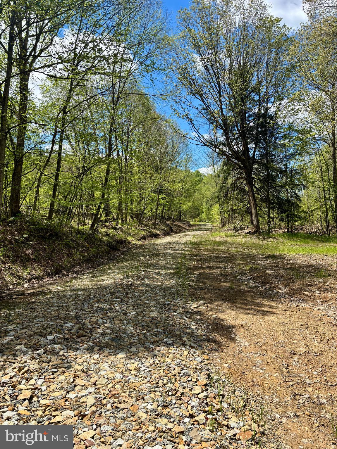 2800 Center Hill Road Brookville, PA 15825 - Photo 21 of 34 Trails wind through the property