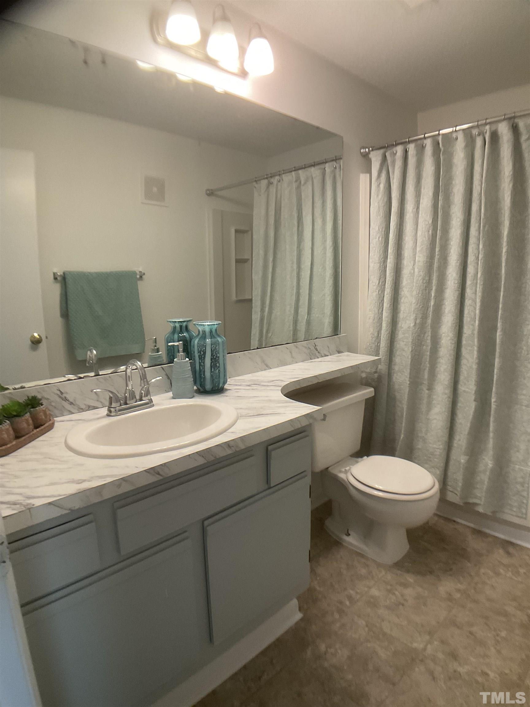 5812 Pointer Drive, Unit 202 Raleigh, NC 27609 - Photo 12 of 19 a bathroom with a toilet a sink and a mirror