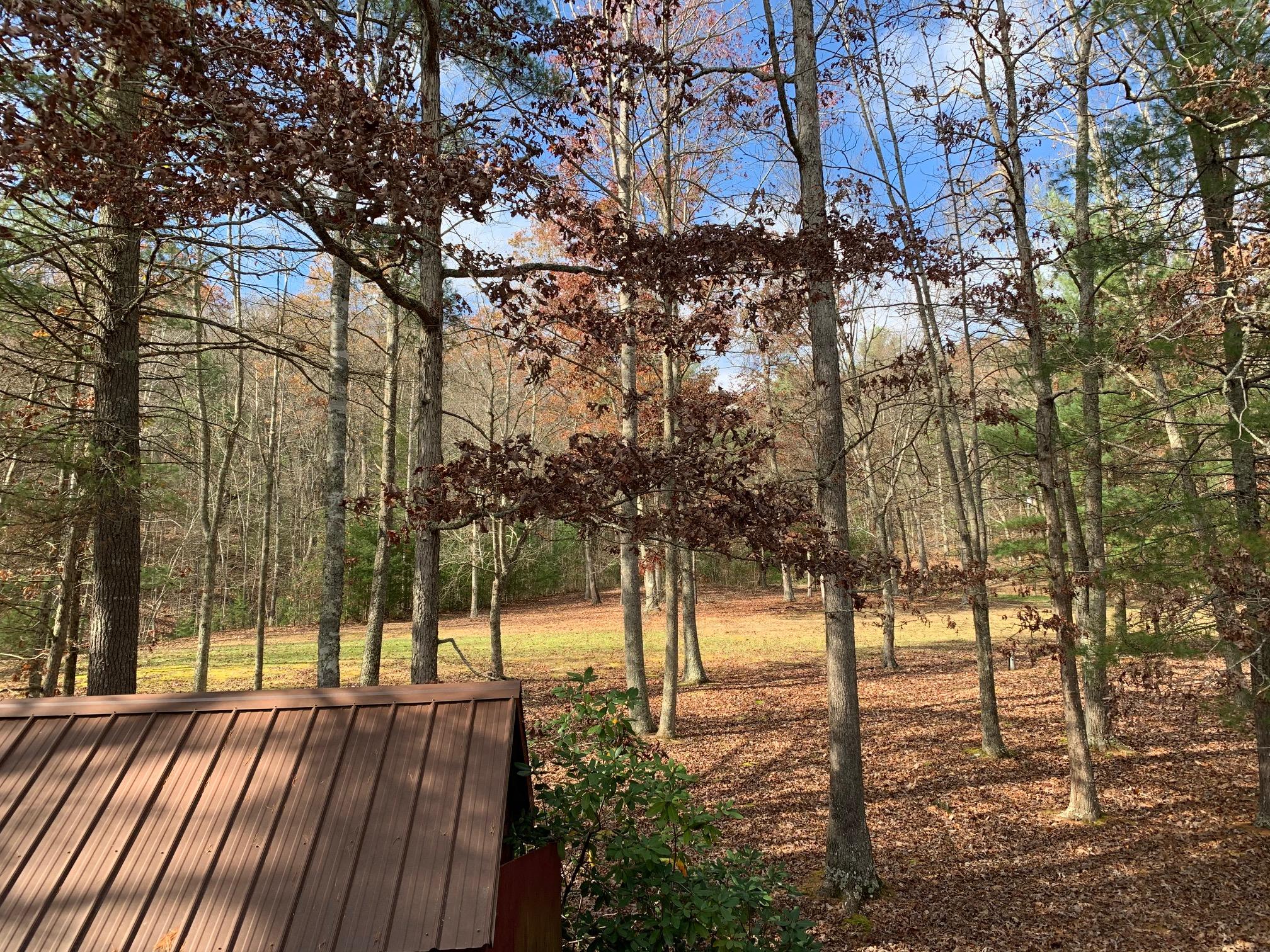 79 Deer Run Road Gap Mills, WV 24941 - Photo 34 of 70 Gallery Image 34