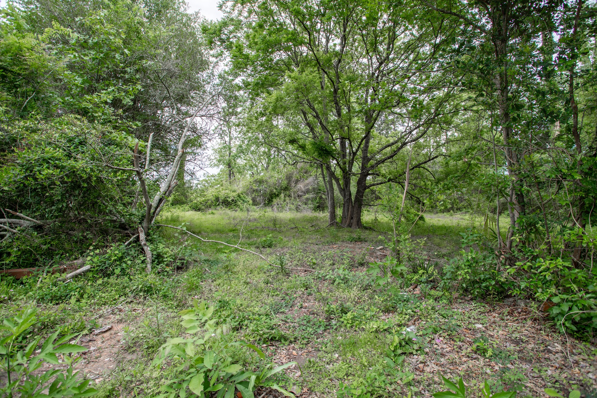 3665 Concord Road Beaumont, TX 77703 - Photo 12 of 13 Gallery Image 12