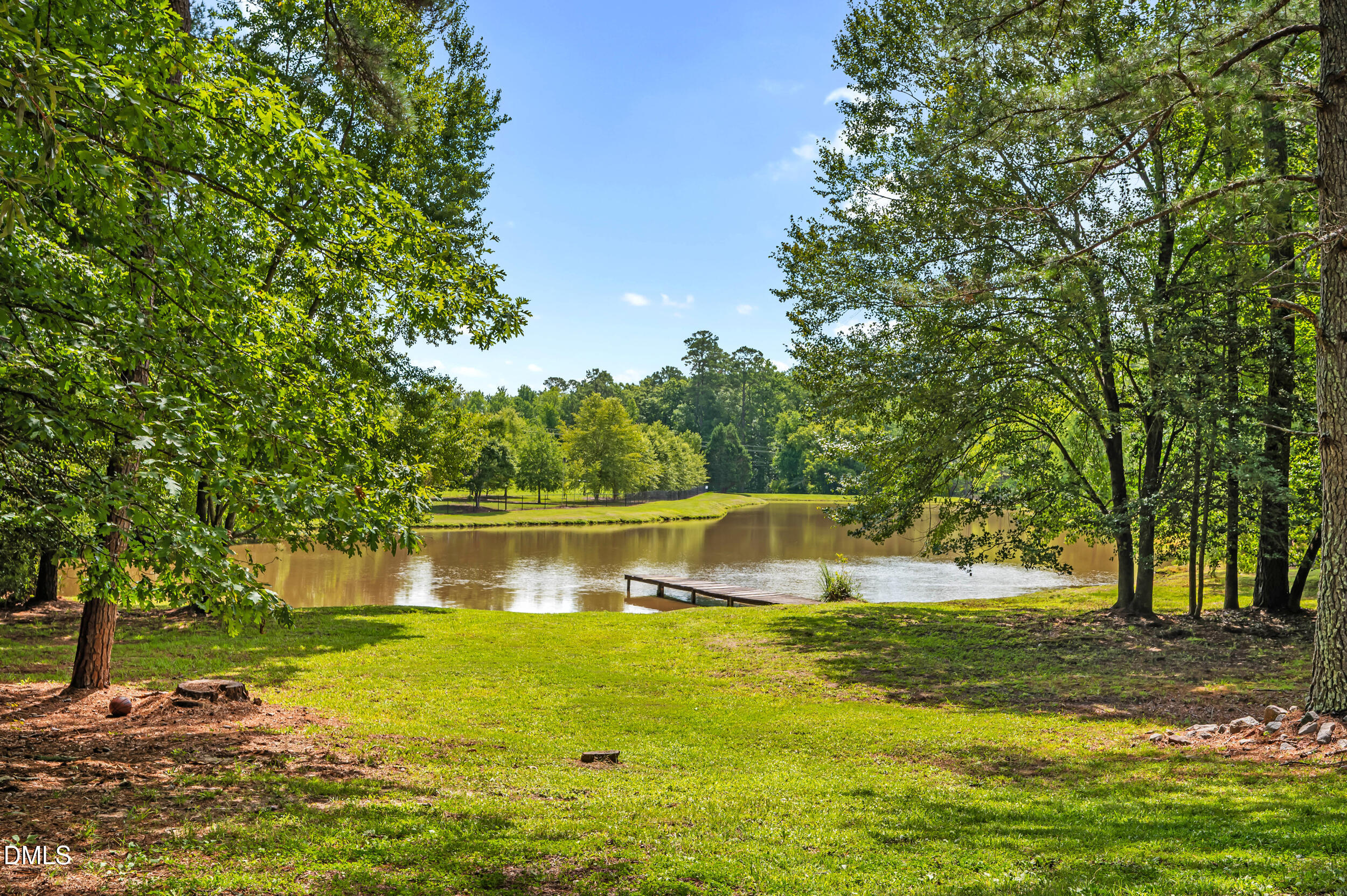 1621 Pearces Road Zebulon, NC 27597 - Photo 73 of 82 View of pond from picnic area
