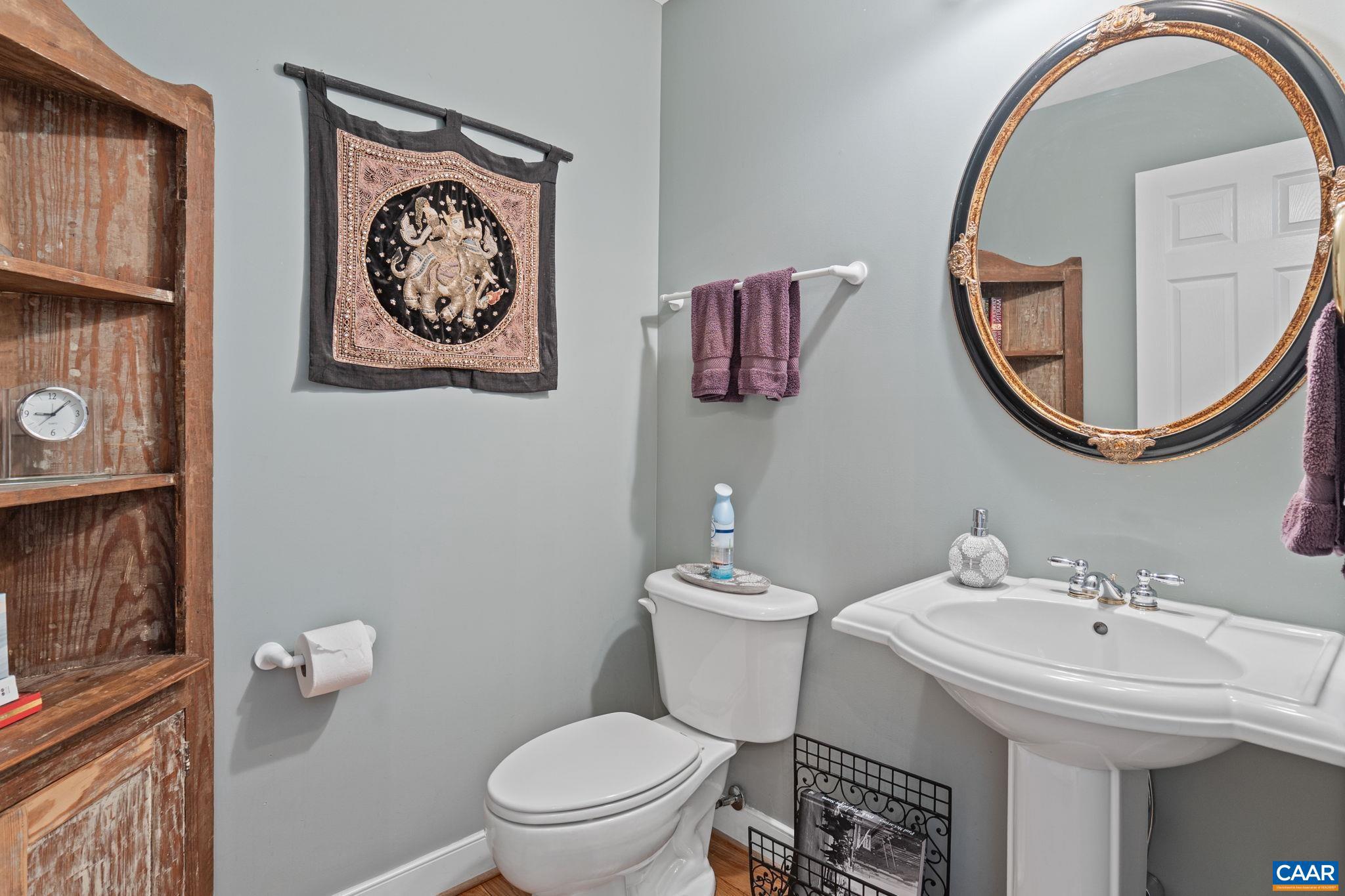 10 Mechunk Terrace Palmyra, VA 22963 - Photo 33 of 62 a bathroom with a toilet a sink and a mirror