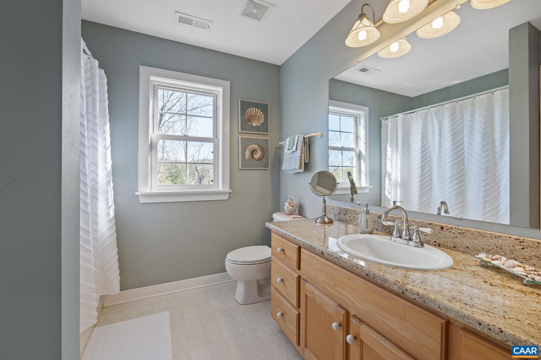 10 Mechunk Terrace Palmyra, VA 22963 - Photo 39 of 62 a bathroom with a granite countertop sink a toilet a mirror a vanity and window