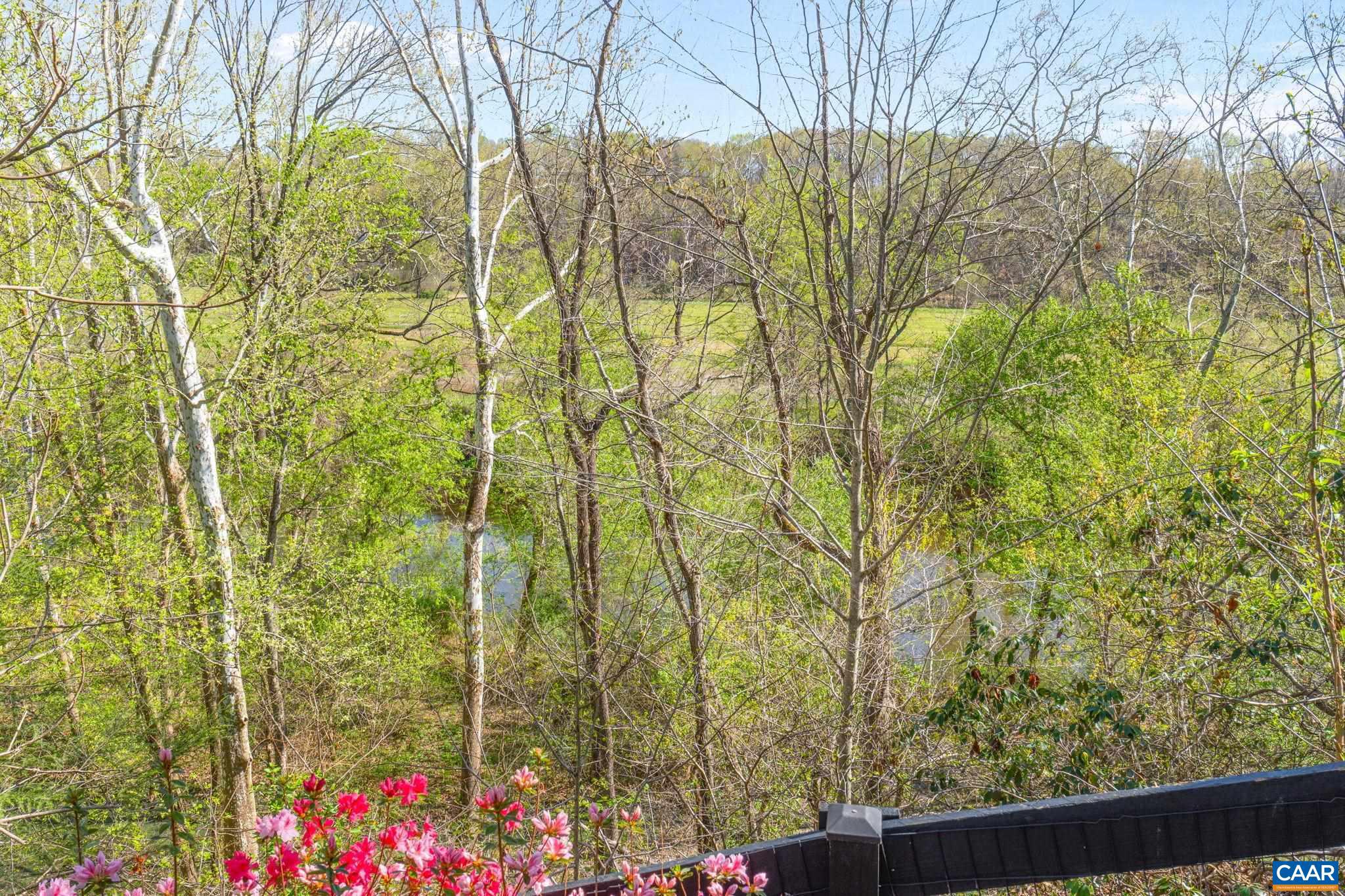 10 Mechunk Terrace Palmyra, VA 22963 - Photo 56 of 62