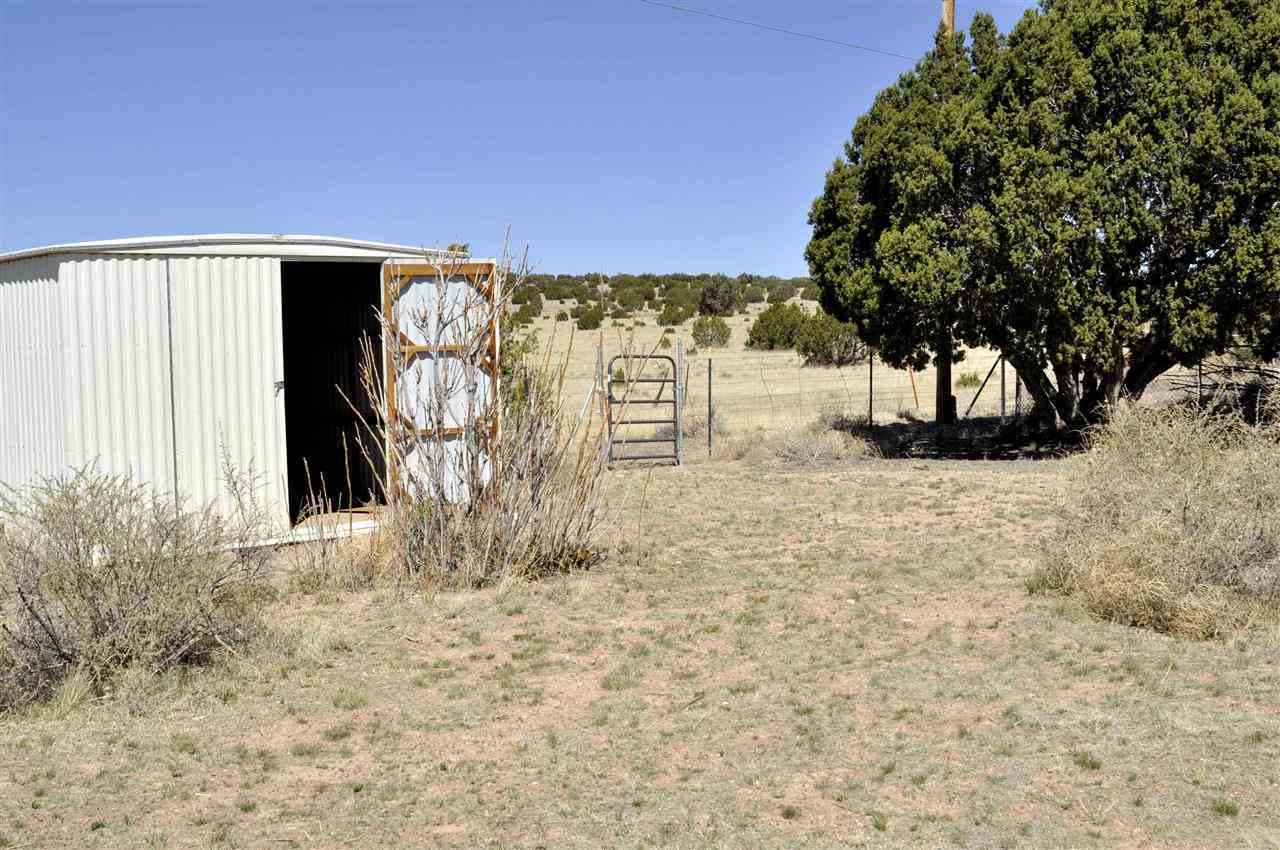 41 Alpine Lane Concho, AZ 85924 - Photo 10 of 17