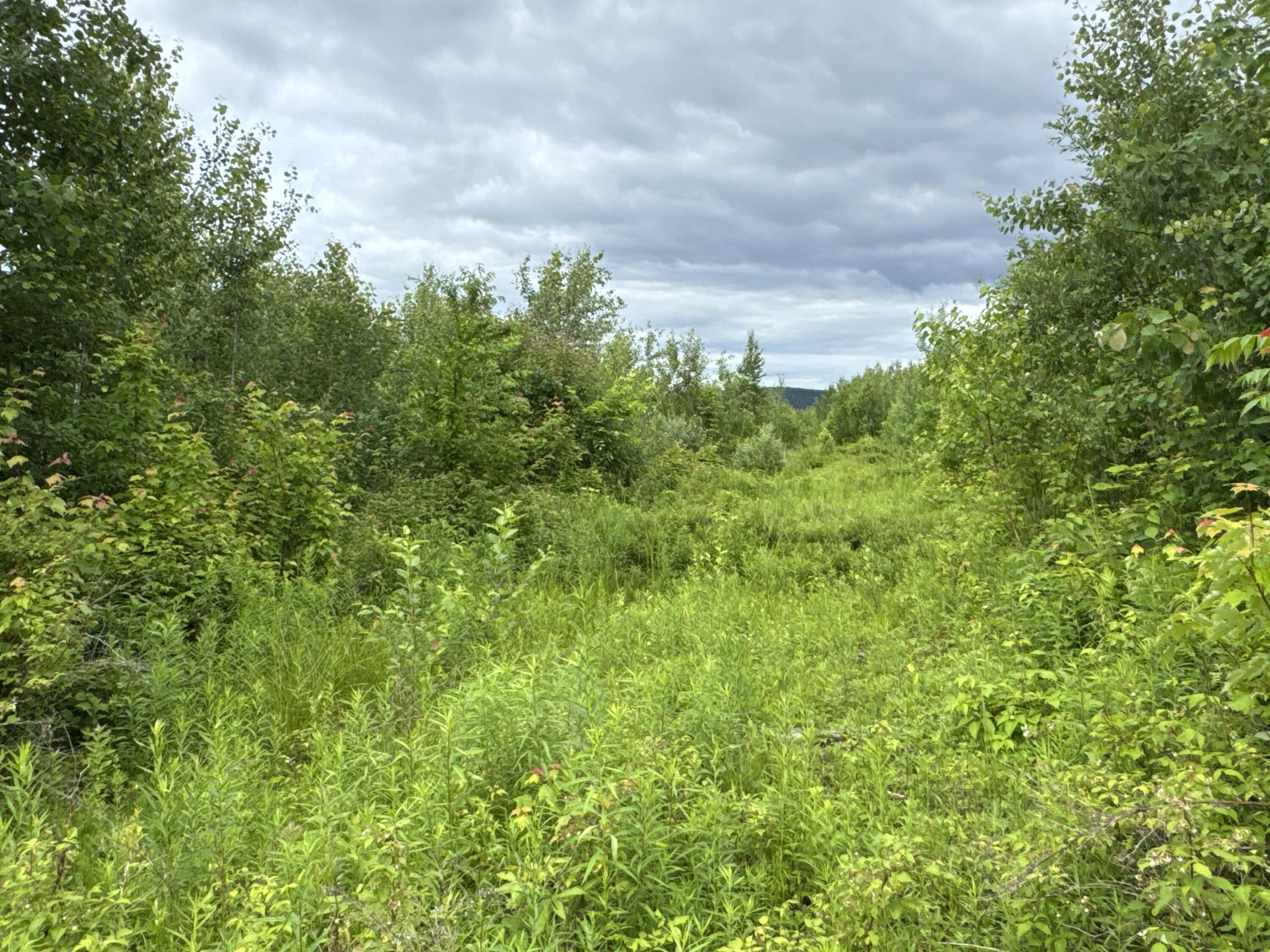 L52 Bridgton Road Harrison, ME 04040 - Photo 8 of 29