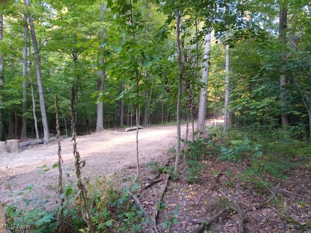 8123 Vandemark Road Lodi, OH 44254 - Photo 4 of 12 View of sloping topography