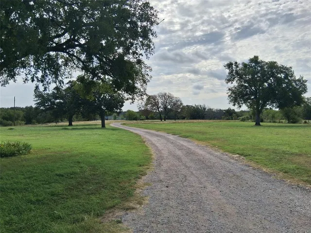 a view of a park with large trees