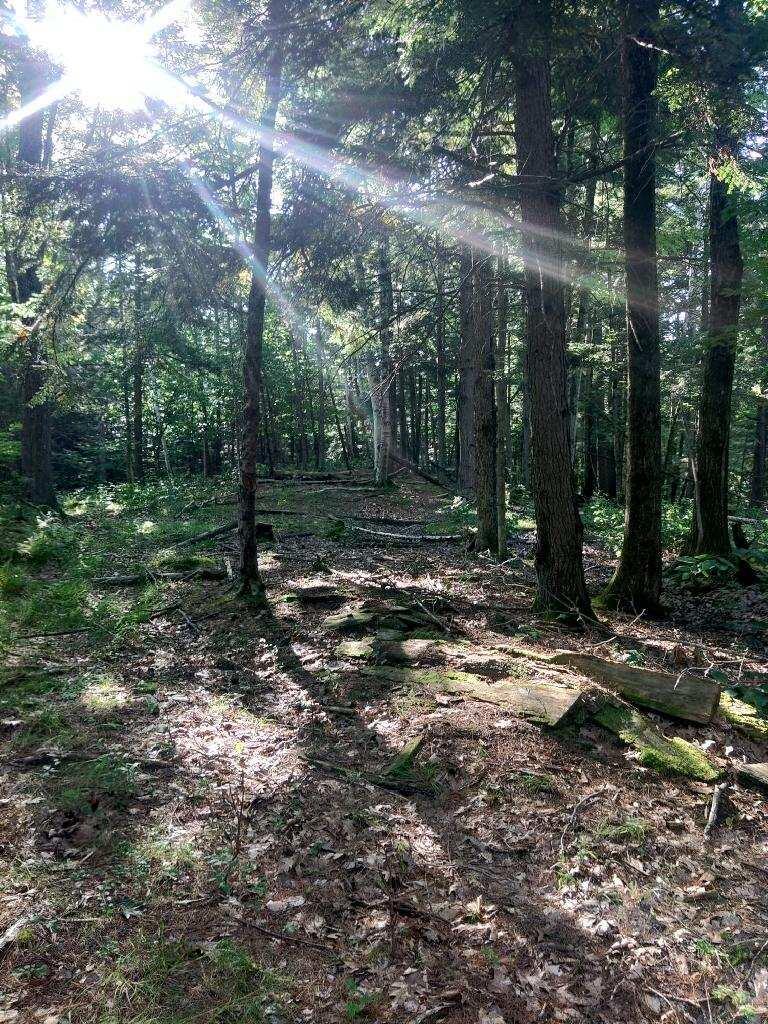 0 Curtis Road Freeport, ME 04032 - Photo 1 of 25 KIMG0790
