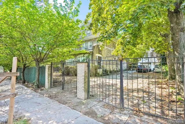 a view of a yard with plants and trees