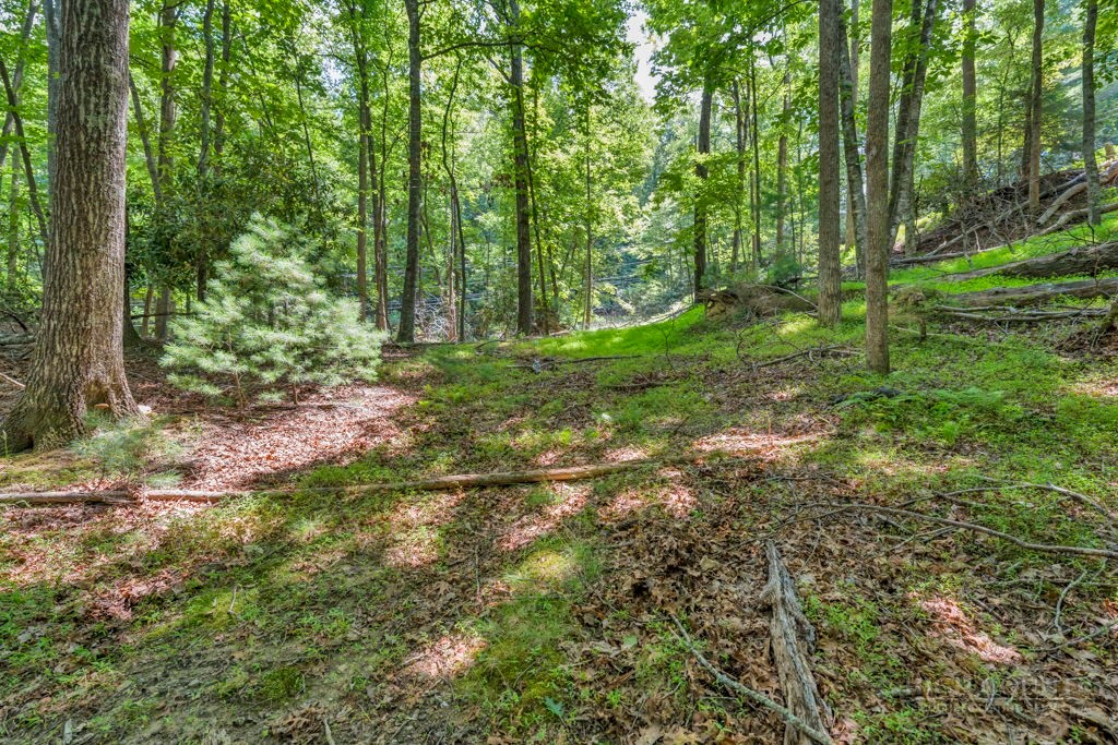 11-14 Powder Horn Mountain Road Deep Gap, NC 28618 - Photo 2 of 38