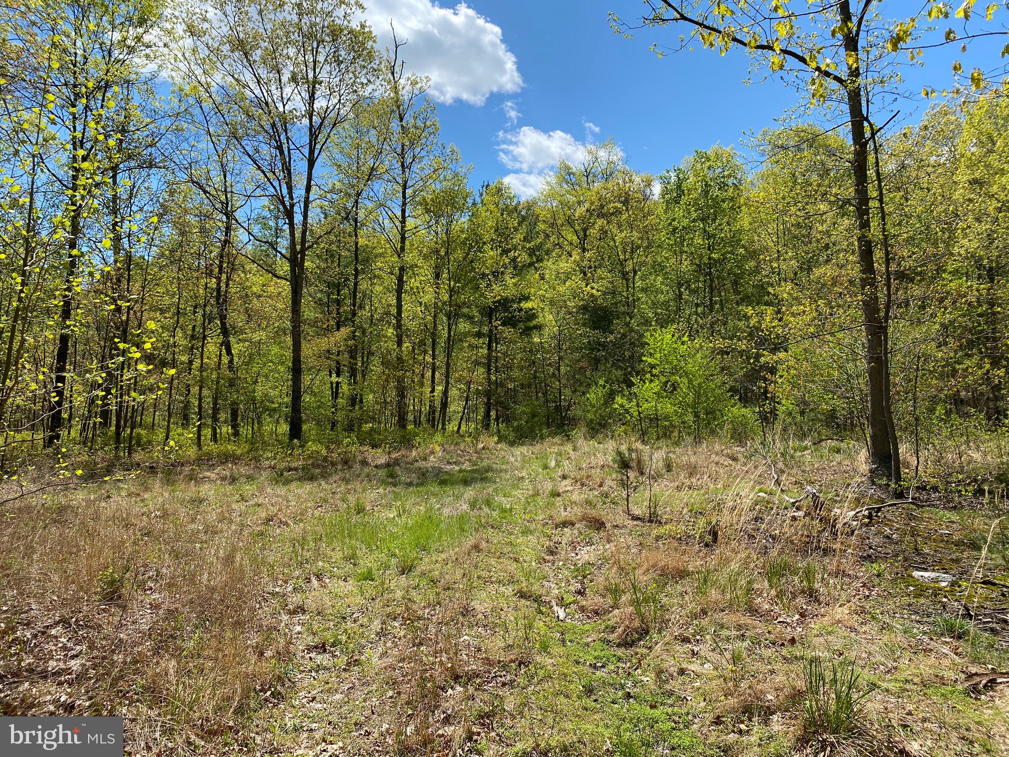 84 Alex Lane Berkeley Springs, WV 25411 - Photo 3 of 7 Setting