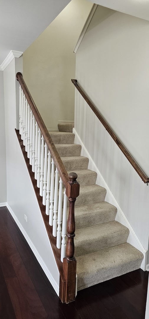 481 Silver Charm Drive, Unit 481 Oswego, IL 60543 - Photo 7 of 25