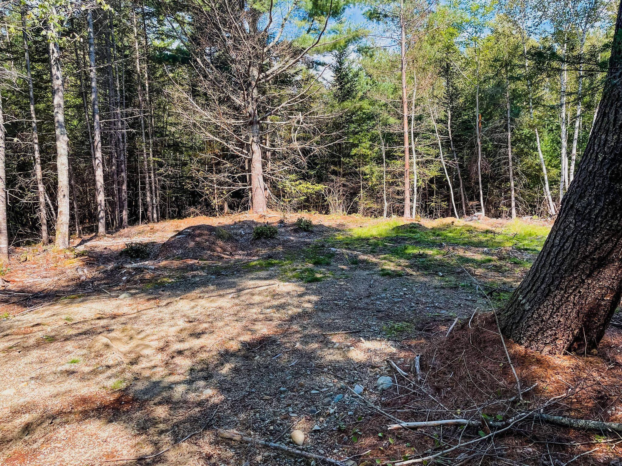 Map8 Map8 Lot11-1 Addison, ME 04606 - Photo 4 of 5 242203108_626983245352742_92947445628360