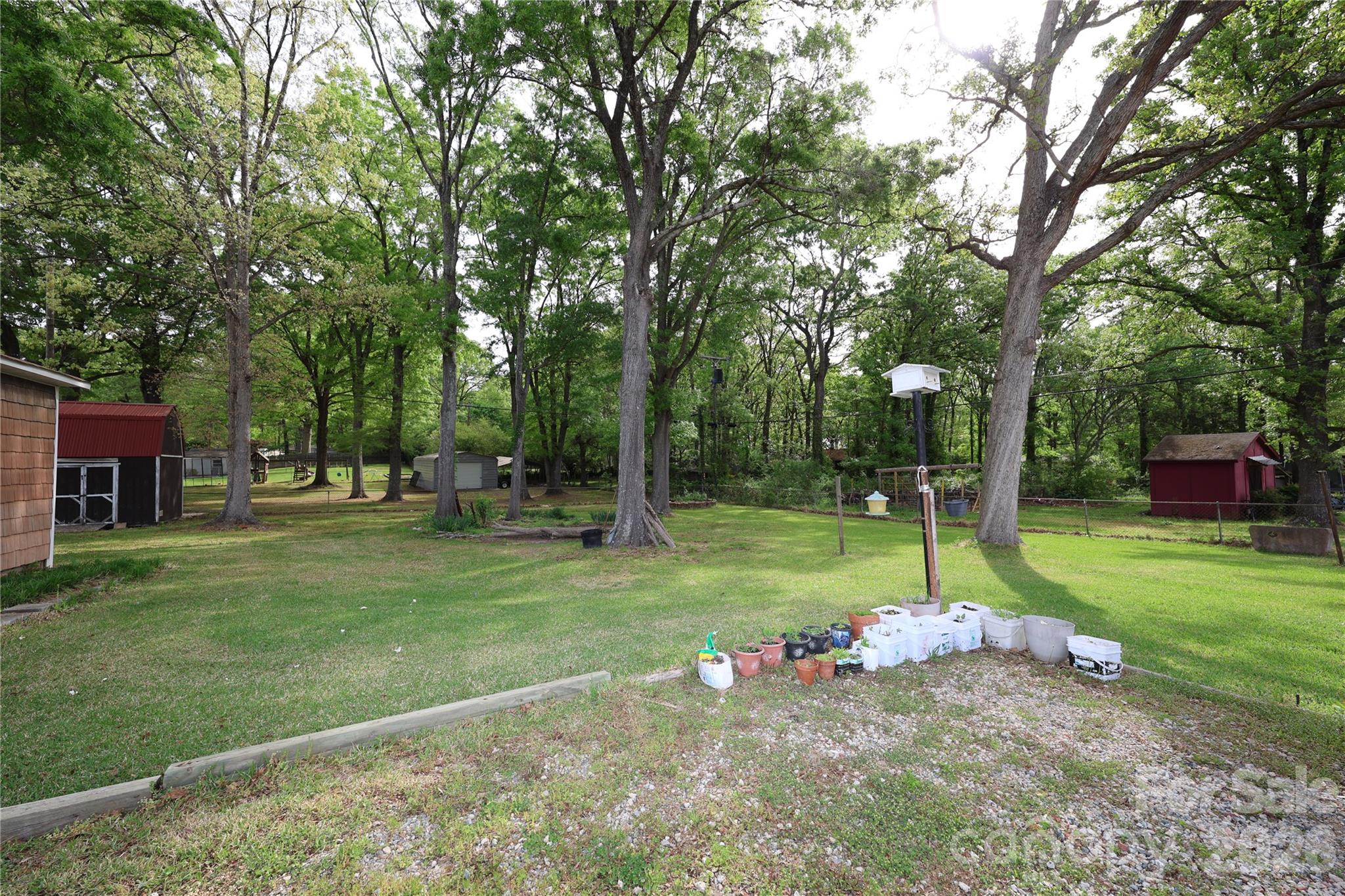 104 Pinetree Drive Matthews, NC 28104 - Photo 6 of 6 a view of a yard with a tree