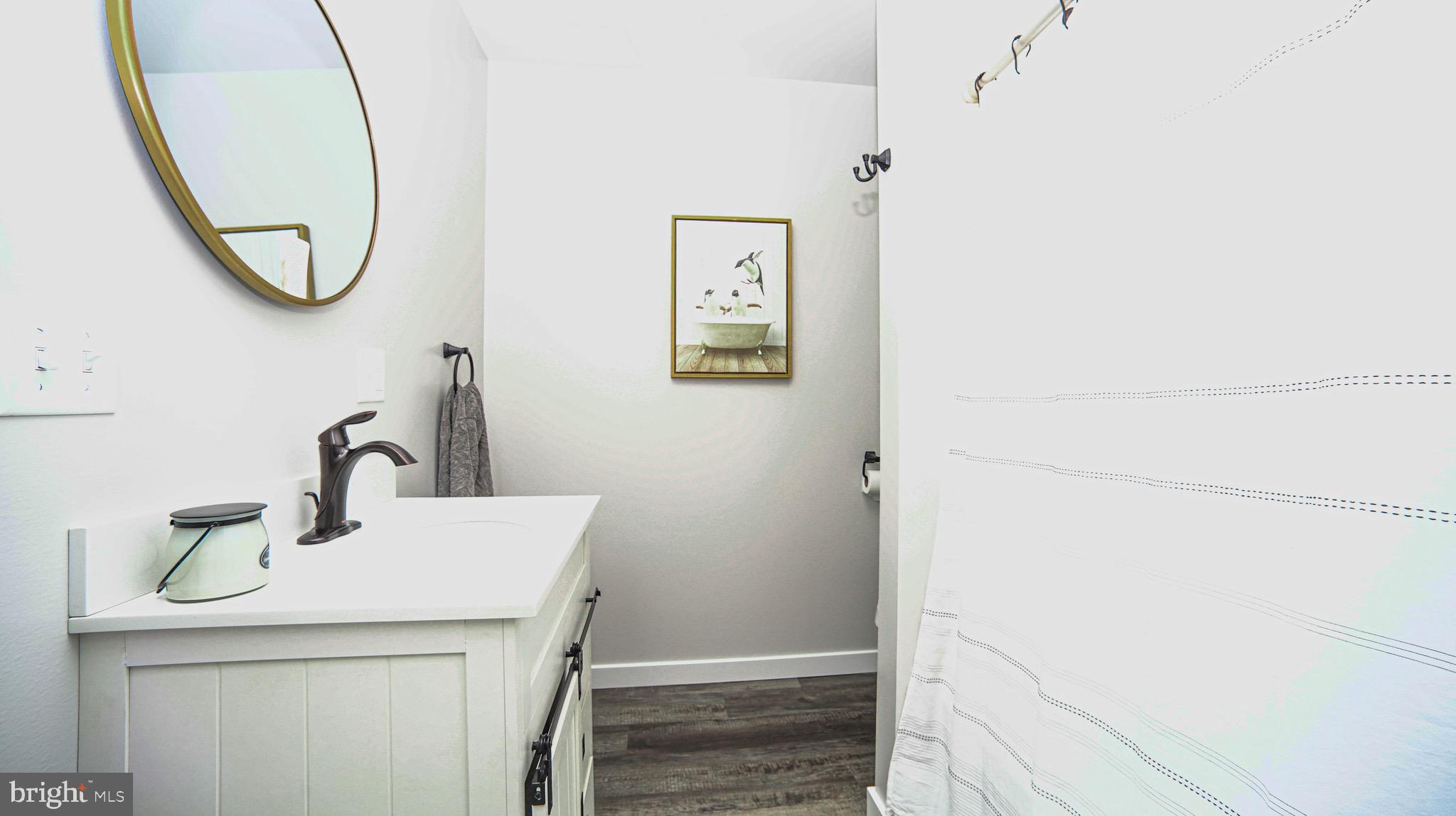 1203 Roxbury Road Newburg, PA 17240 - Photo 18 of 64 a bathroom with a sink and a mirror