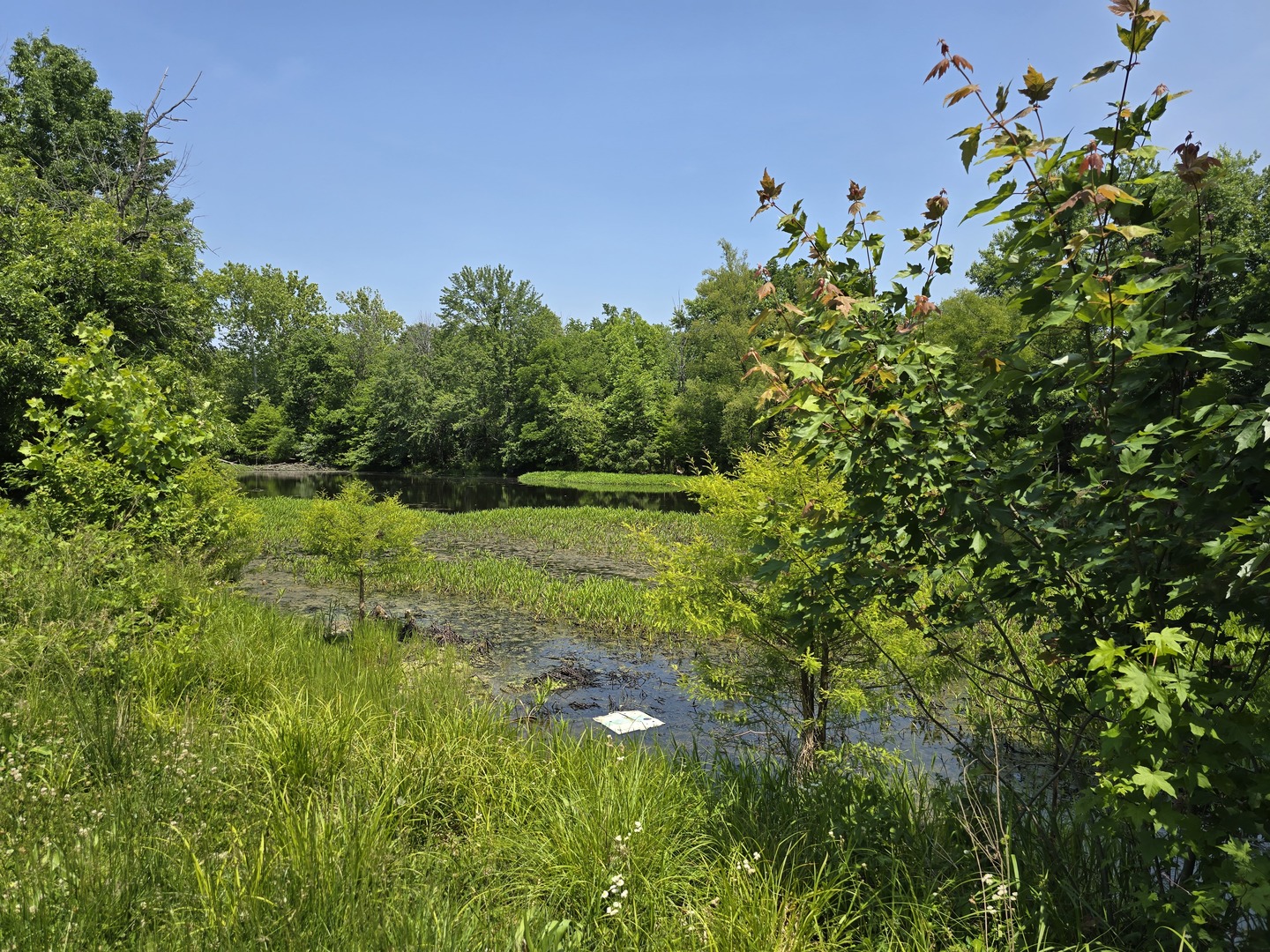 1490 Raleigh Road Raleigh, IL 62977 - Photo 4 of 14