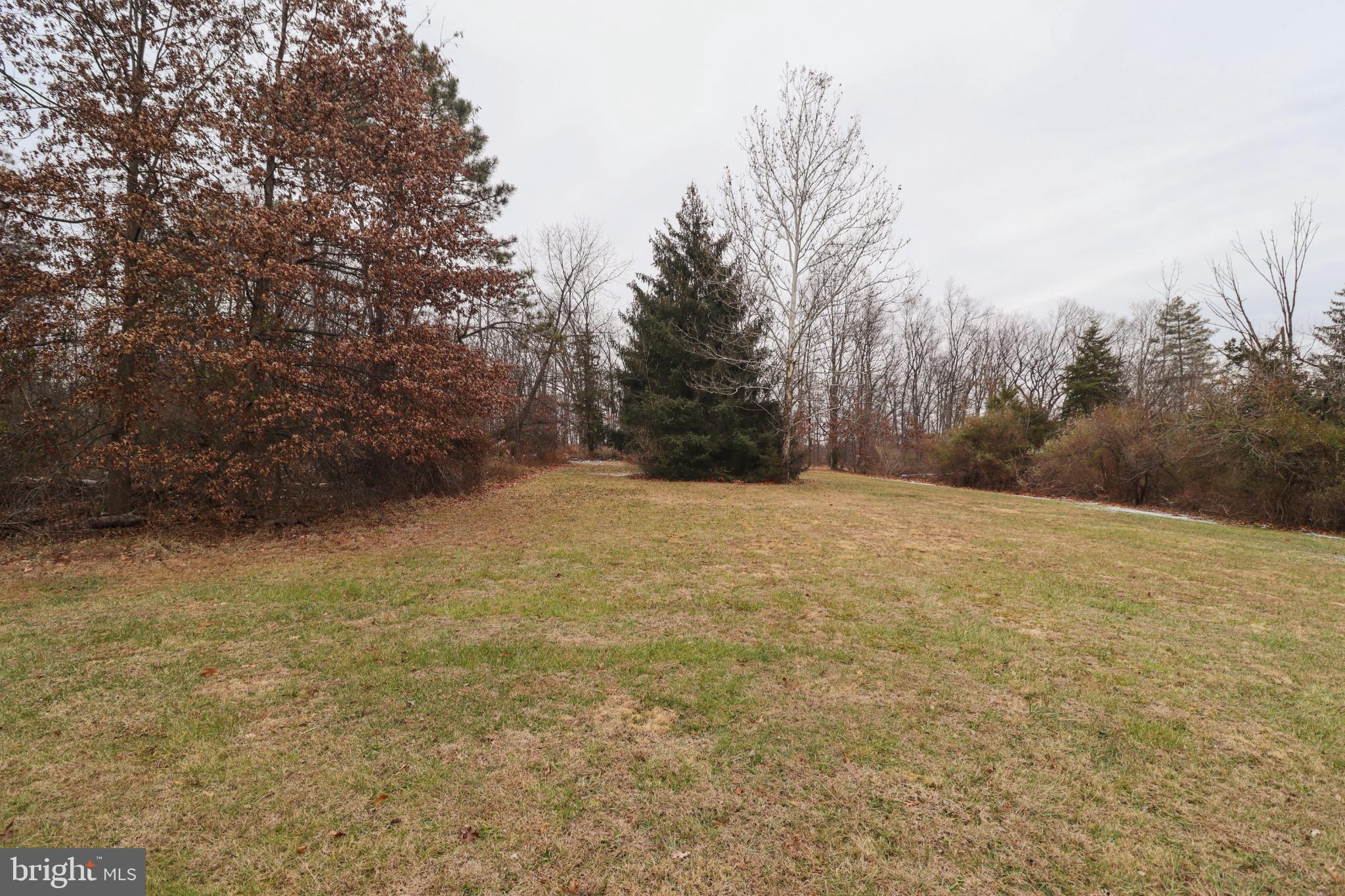 81 Rupp Road Gettysburg, PA 17325 - Photo 40 of 53 a view of empty field with tree in the background
