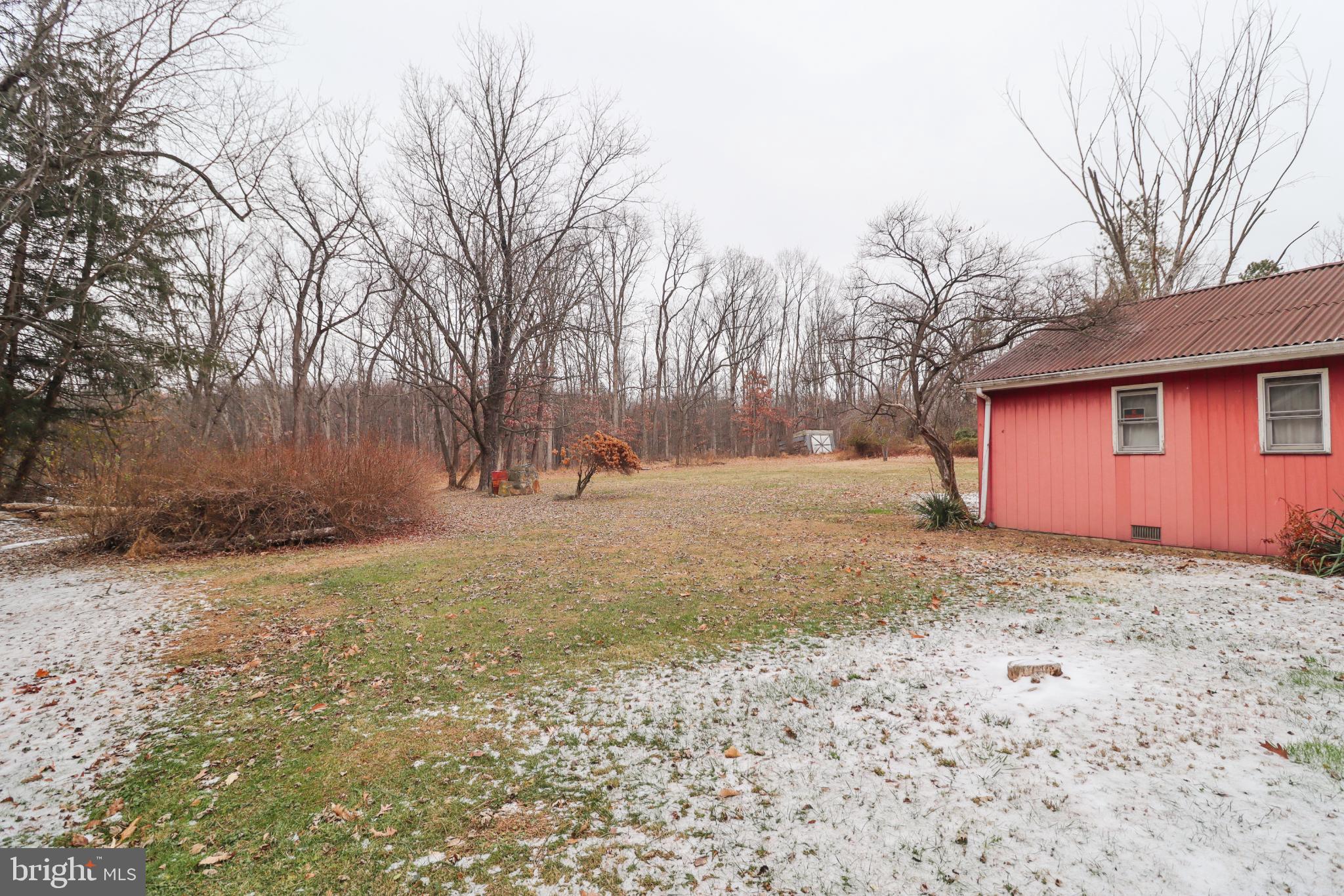 81 Rupp Road Gettysburg, PA 17325 - Photo 45 of 53 a view of backyard with large trees