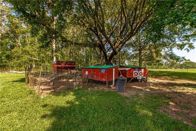 62247 Uneedus Trace Road Amite, LA 70422 - Photo 29 of 31