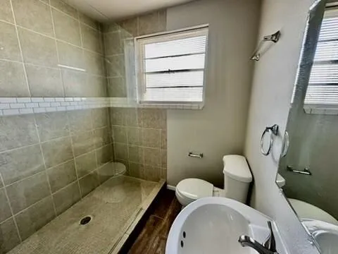 a bathroom with sink toilet and mirror