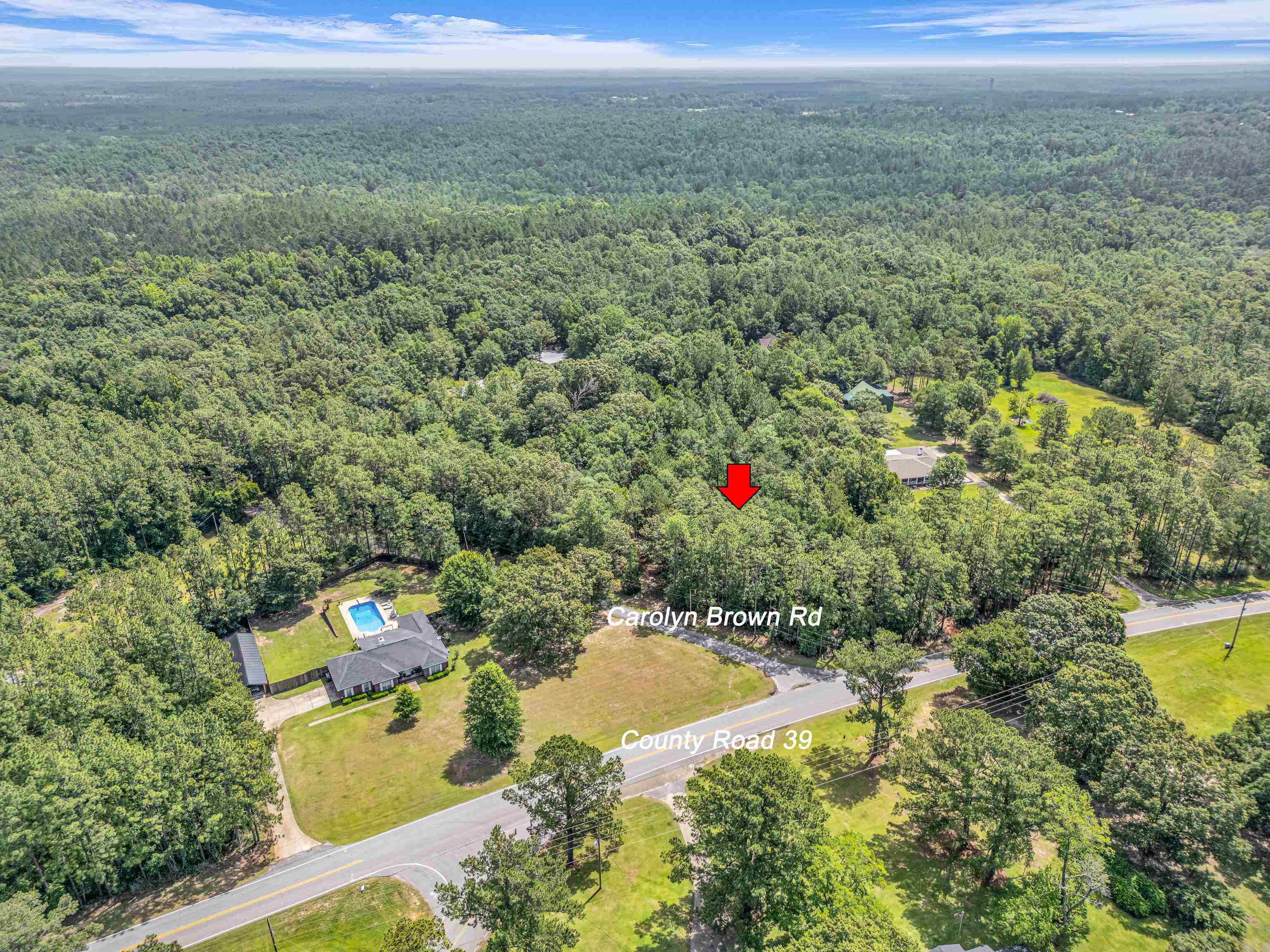 39 County Road 39 Stapleton, AL 36578 - Photo 10 of 16 Aerial View