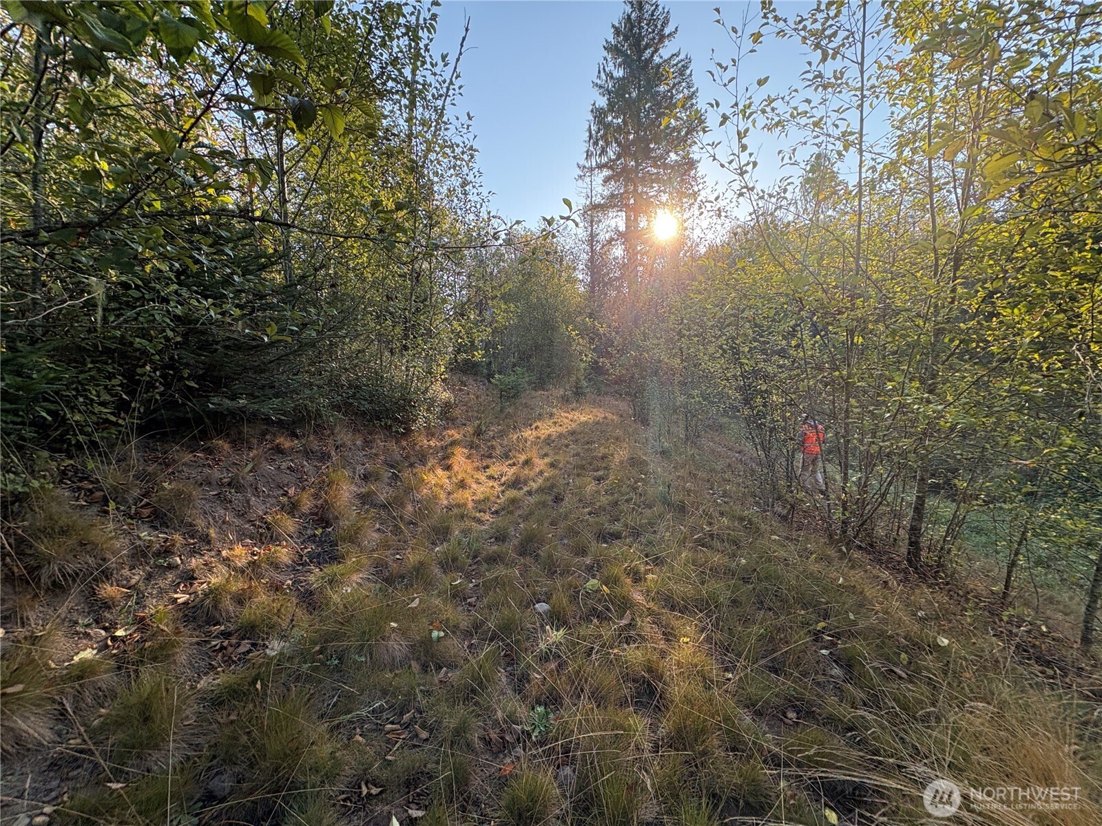 -nka Frank Smith Road Toutle, WA 98649 - Photo 9 of 19 Gallery Image 9