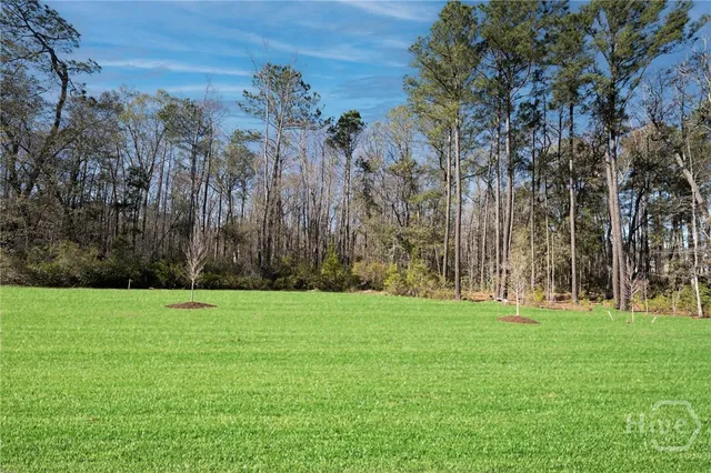 $3,100 | 160 Weyview Gardens, Pooler, GA 31322