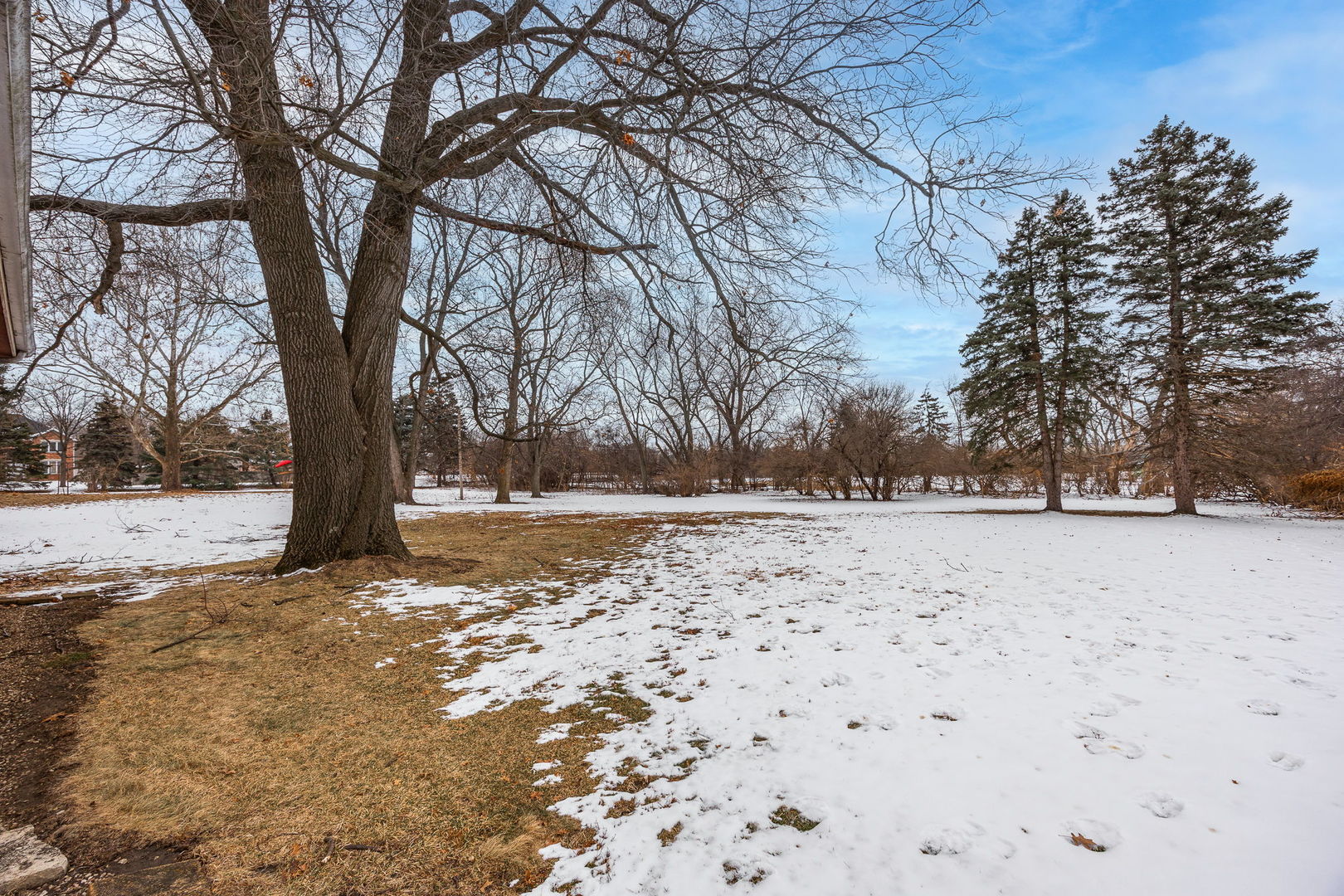 1927 Warrenville Road Lisle, IL 60532 - Photo 33 of 41 a view of outdoor space with trees