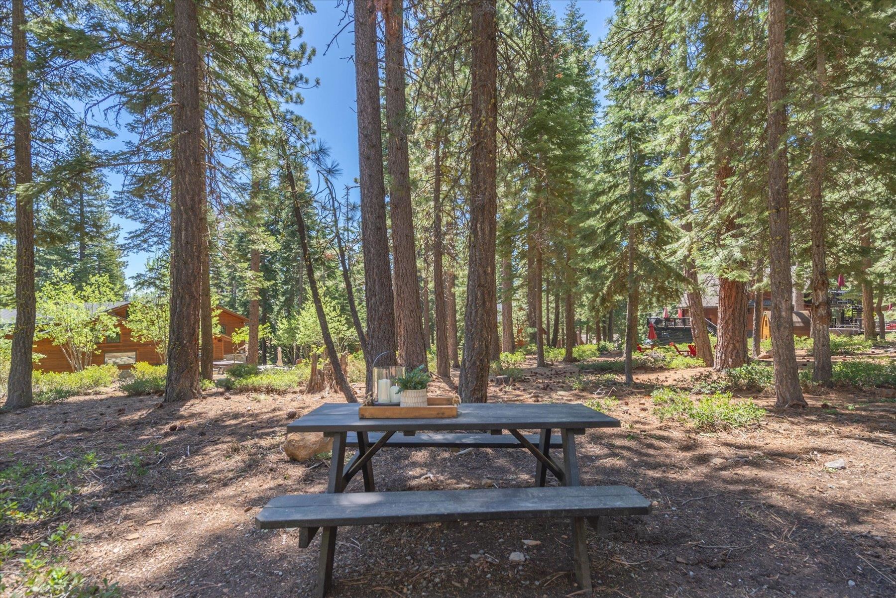 325 North Ridge Road Carnelian Bay, CA 96140 - Photo 22 of 22 a view of a bench in a backyard