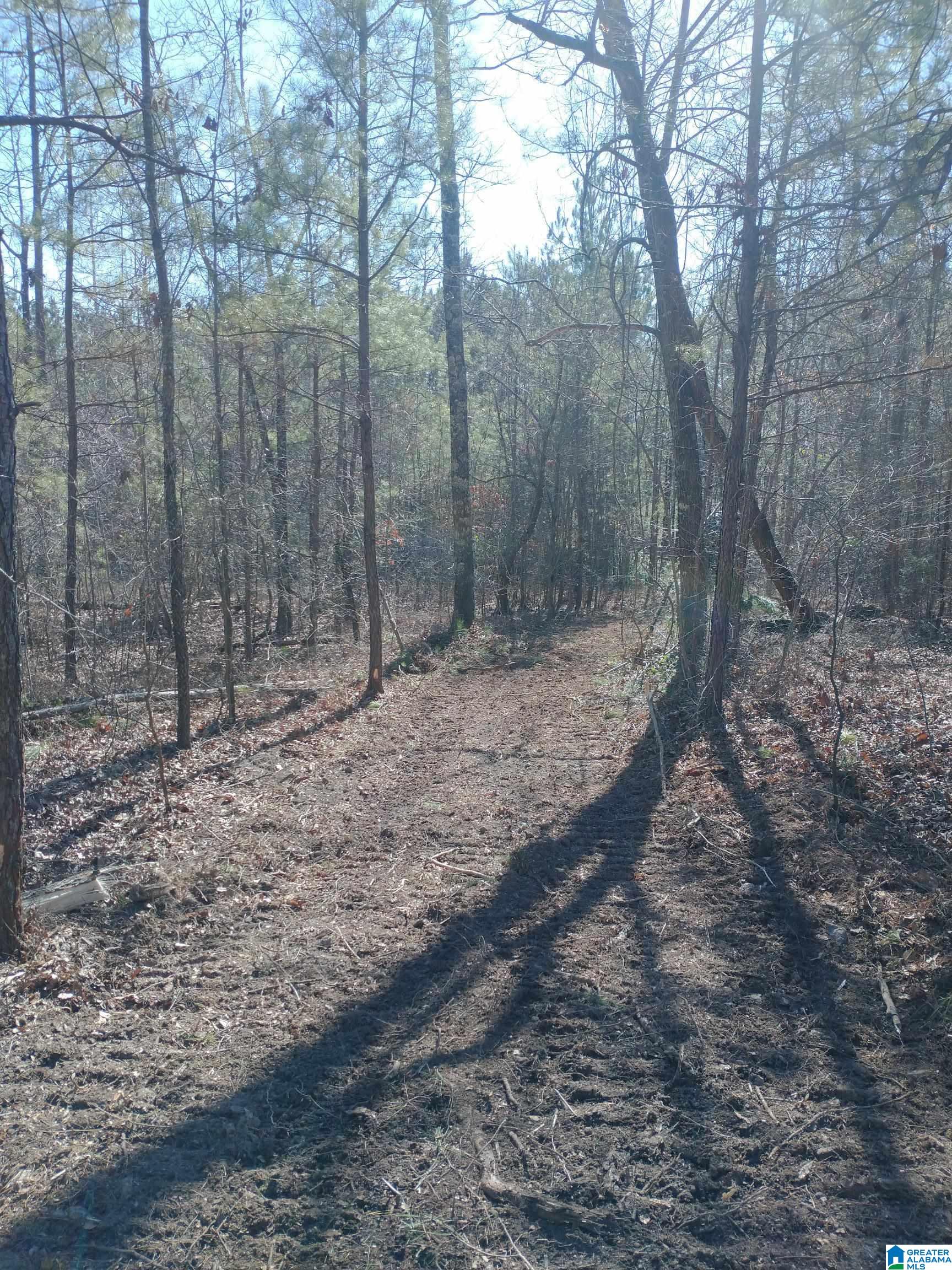4 Sweet Apple Road, Unit 7 Cropwell, AL 35054 - Photo 6 of 6