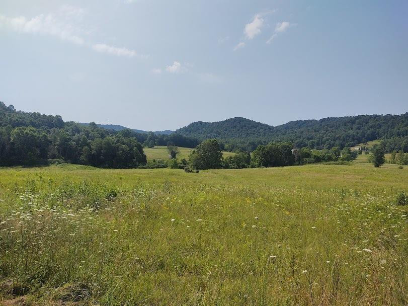 1200 Clearfork Road Morehead, KY 40351 - Photo 46 of 86 Photo 46