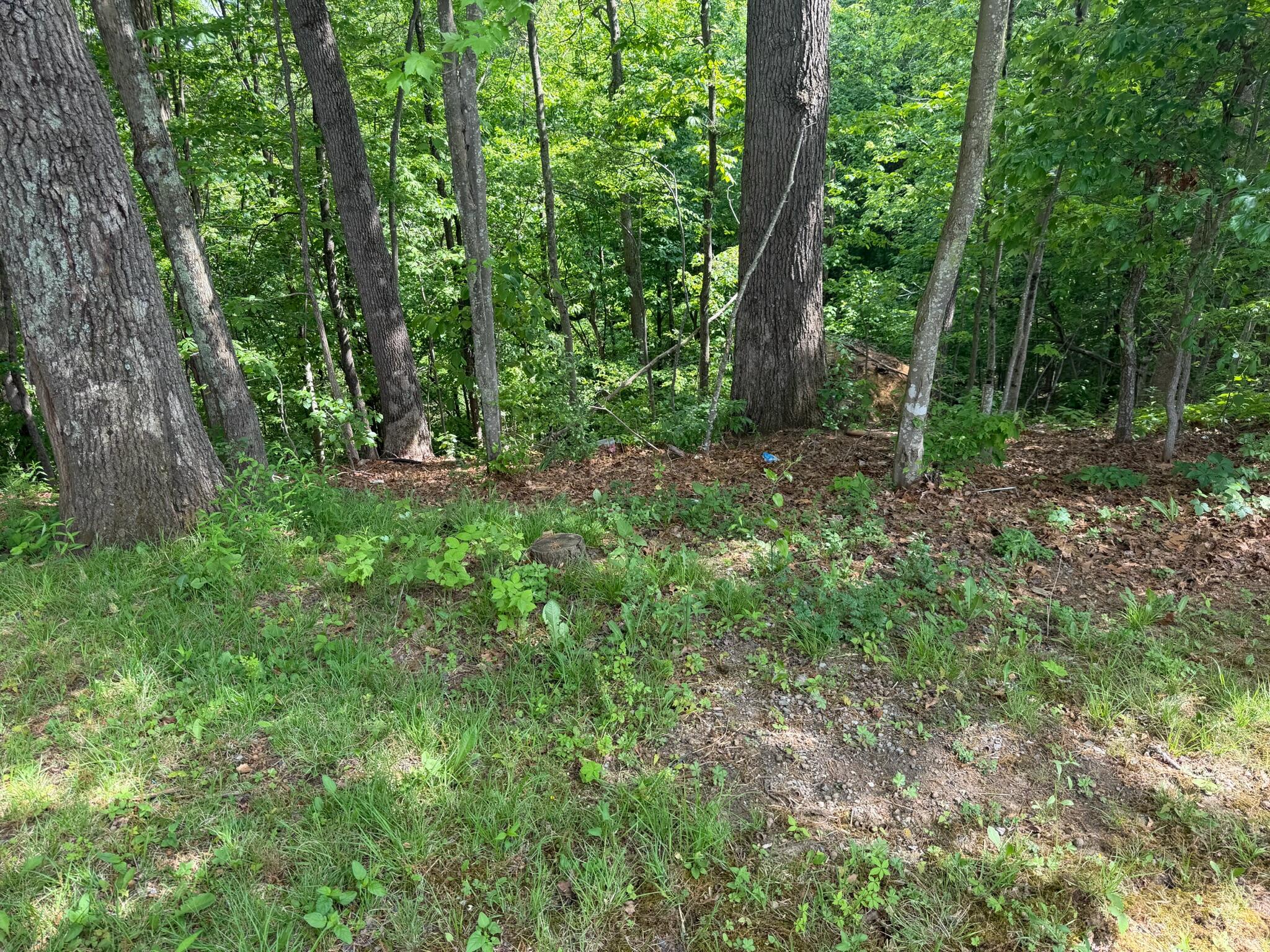 567 Hundley Road Crawley, WV 24931 - Photo 20 of 21 Gallery Image 20