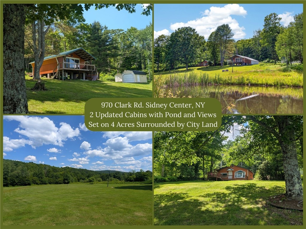 970 Clark Road Sidney Center, NY 13839 - Photo 1 of 48
