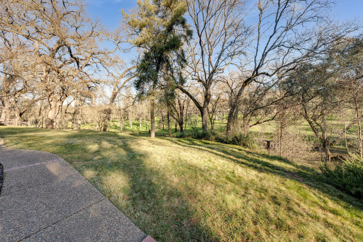 4460 Fawn Street Shingle Springs, CA 95682 - Photo 48 of 67