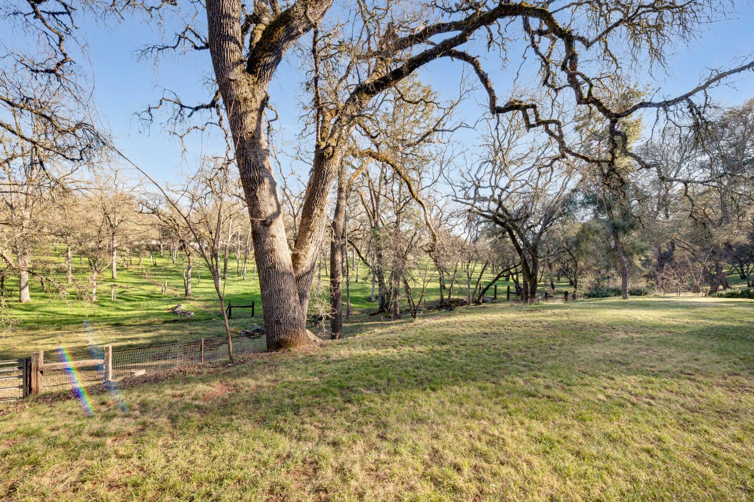 4460 Fawn Street Shingle Springs, CA 95682 - Photo 49 of 67