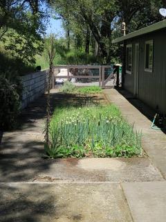 4460 Fawn Street Shingle Springs, CA 95682 - Photo 58 of 67