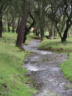4460 Fawn Street Shingle Springs, CA 95682 - Photo 59 of 67