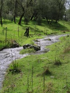 4460 Fawn Street Shingle Springs, CA 95682 - Photo 60 of 67
