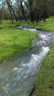 4460 Fawn Street Shingle Springs, CA 95682 - Photo 61 of 67